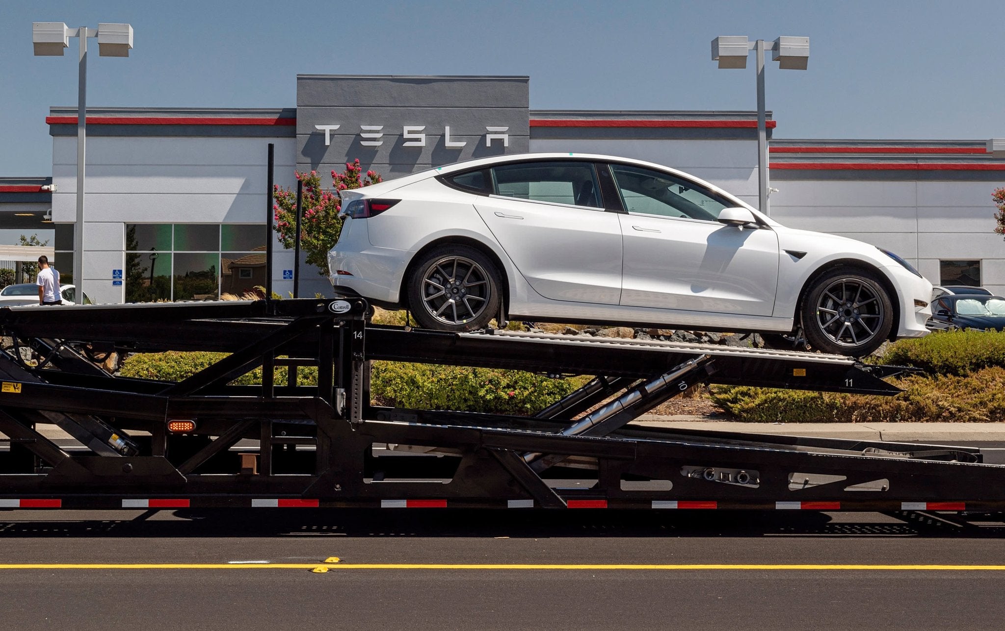 What do you think is Tesla's pain point? - acetesla